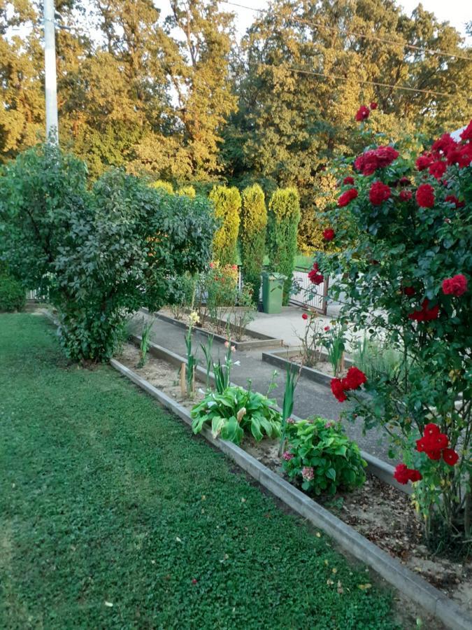 Apartamento Maja Velika Gorica Exterior foto